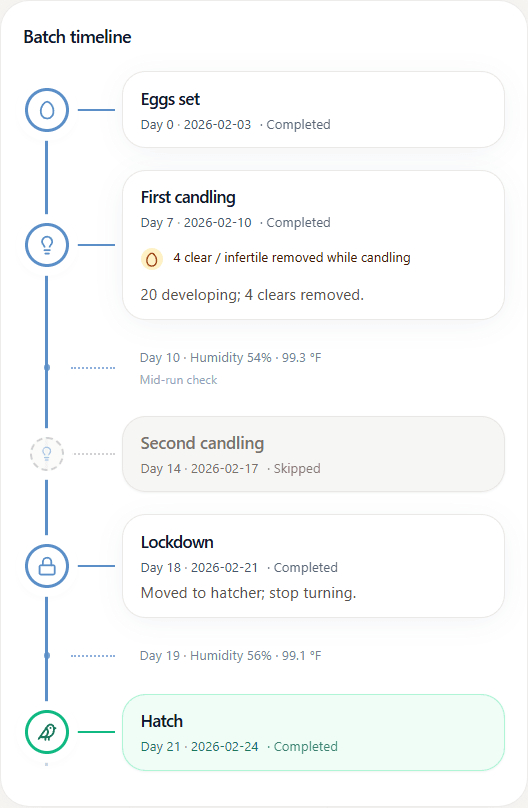 Batch timeline — milestones and real events