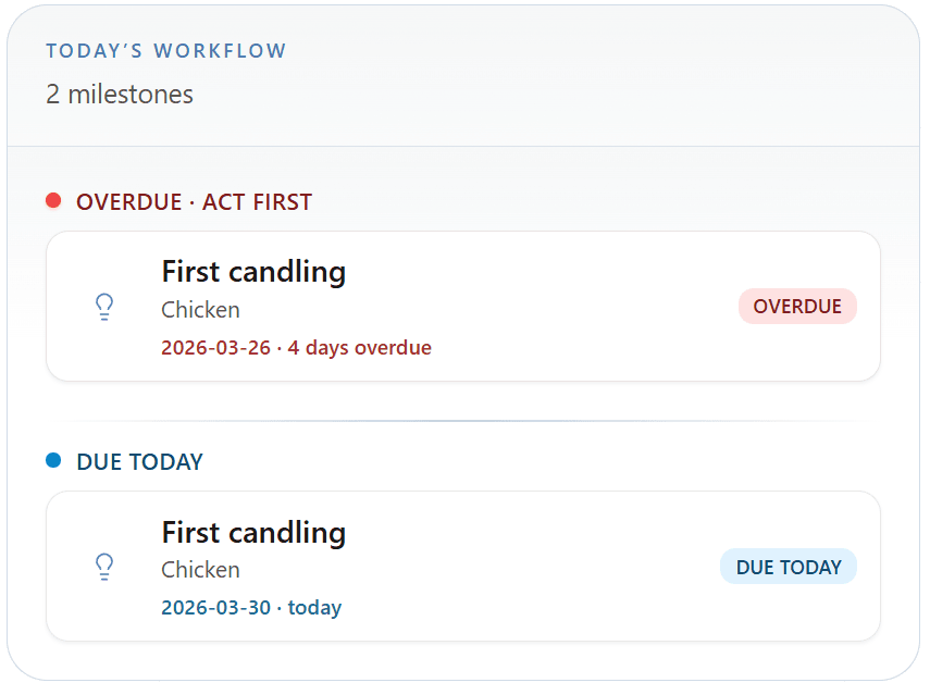Today — what needs attention now